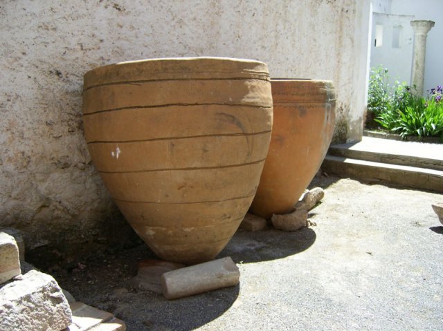 patiotraserofucares12